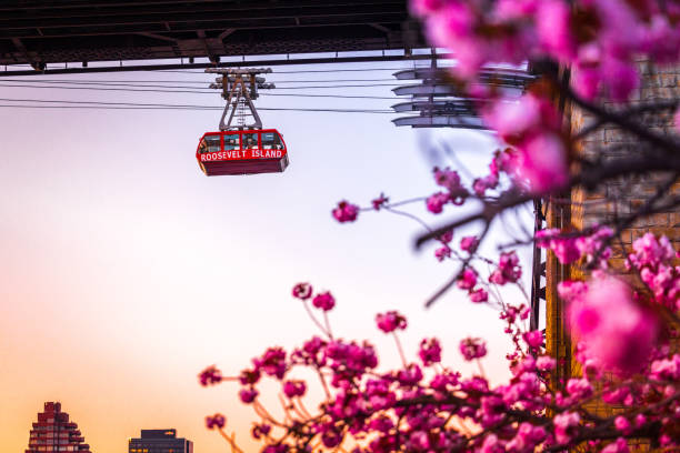 istock Roosevelt Island Tram 1317361795