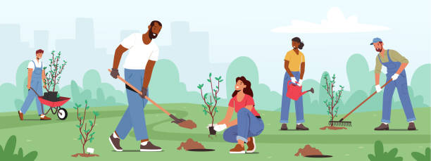 Reforestation, Nature and Ecology Concept. World Environment Day, Characters Planting Seedlings and Growing Trees Reforestation, Nature and Ecology Concept. World Environment Day, Characters Planting Seedlings and Growing Trees into Soil Working in Garden, Save World, Earth Day. Cartoon People Vector Illustration reforestation stock illustrations