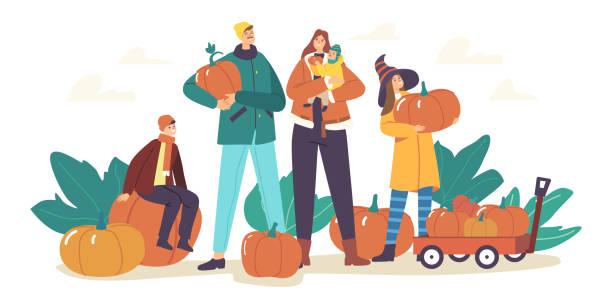 illustrations, cliparts, dessins animés et icônes de happy family picking pumpkins au jardin d’automne. mère, père et enfants récoltant des plantes mûres pour la célébration - farm pumpkin autumn farmer