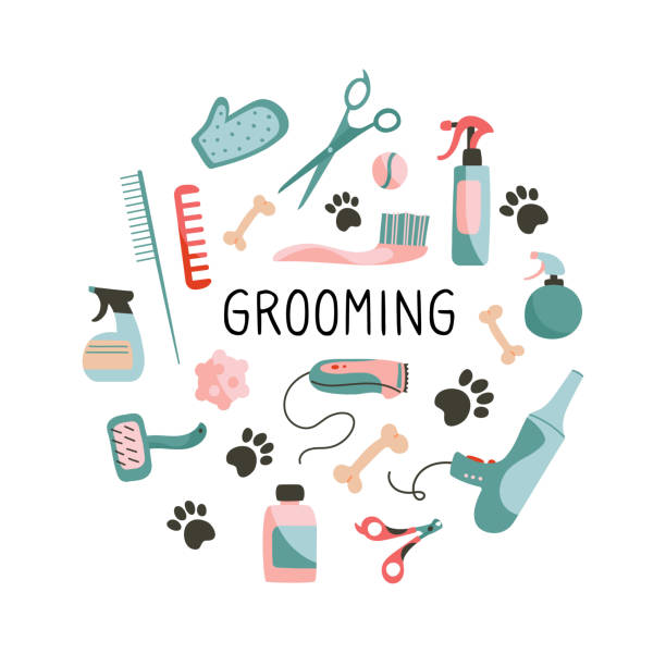 4,329 Dog Grooming Illustrations & Clip Art - iStock | Dog, Dog spa, Cat  grooming
