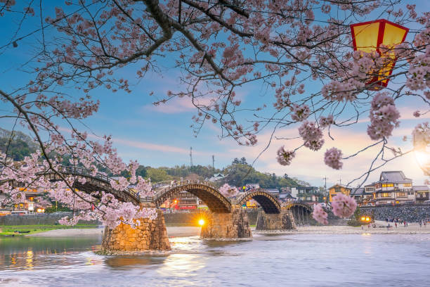 istock Kintaikyo Bridge in Iwakuni, Japan at  sunset 1317364434
