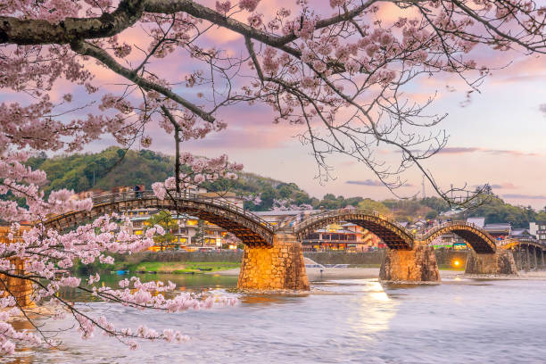 istock Kintaikyo Bridge in Iwakuni, Japan at  sunset 1317364456