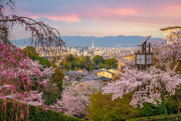 istock Old town Kyoto during sakura season in Japan 1317364458