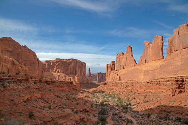 istock Entry sandstone formations at Arches National Park 1317364728