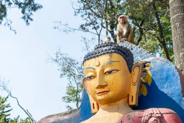 Photo of Buddha statue with monkey standing on head in Swayambhunath temple (other name called Monkey temple) this place is one of the holiest Buddhist temple in Kathmandu, Nepal.