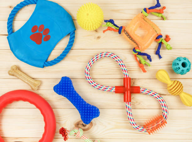 istock Different multicolored pet care accessories: ring, bones, balls on natural wooden background. Rubber and textile accessories for dogs. Top view, flat lay. Copy space 1317370538