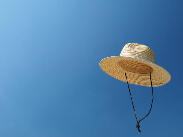 istock Straw hat floating in the blue sky 1317370713
