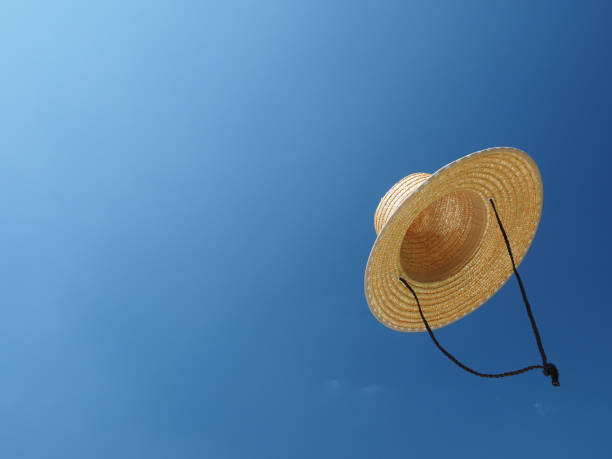 istock Straw hat floating in the blue sky 1317370719