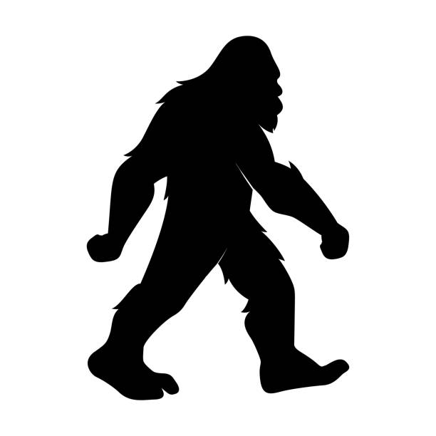 illustrazioni stock, clip art, cartoni animati e icone di tendenza di illustrazione della silhouette bigfoot vettoriale isolata - largo descrizione generale