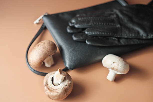 handbag and gloves made of mycelium leather, bio sustainable alternative to leather made of mushroom spores and plant fibres. mushroom textile innovative materials. eco bio-gradable vegan leather - gradable imagens e fotografias de stock