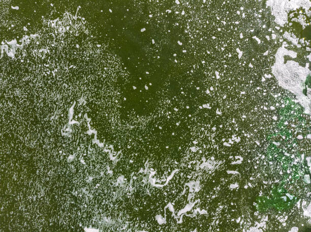 polluted water with floating scum. environmental water pollution. aerial view