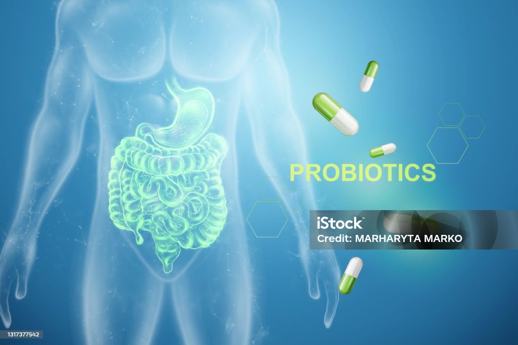 Image of intestines and pills, inscription probiotics. The concept of diet, intestinal microflora, microorganisms, healthy digestion. 3D render, 3D illustration. Image of intestines and pills, inscription probiotics. The concept of diet, intestinal microflora, microorganisms, healthy digestion. 3D render, 3D illustration Probiotic Stock Photo