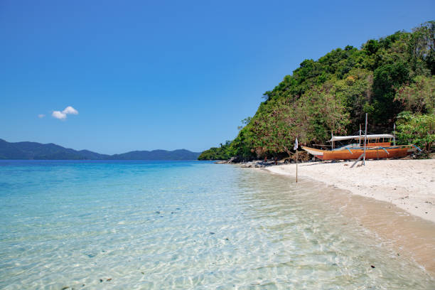 istock Boat stranded in the sand from a tropical beach 1317379578