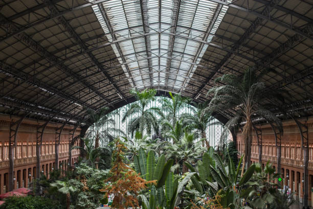 jardim tropical em uma estação de trem principal europeia - vegetação mediterranea - fotografias e filmes do acervo