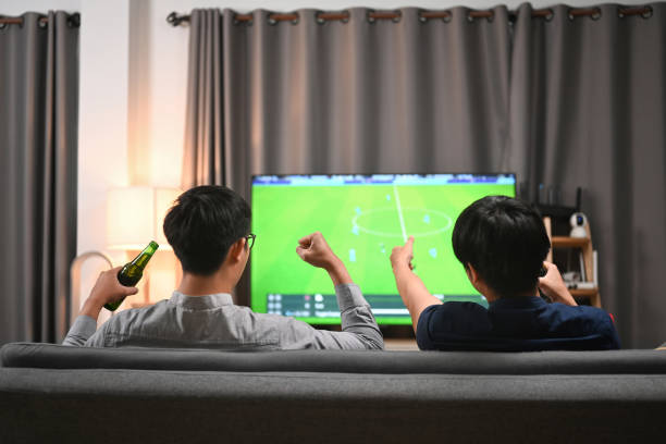 Rear view of two young man holding glasses of beer and cheering for football on sofa. Rear view of two young man holding glasses of beer and cheering for football on sofa. tv game stock pictures, royalty-free photos & images
