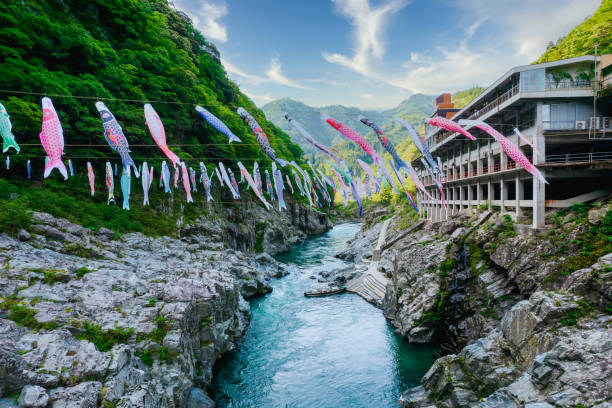 wąwóz oboke, rzeka yoshino i karpie streamery, miejsca zwiedzania w mieście miyoshi, prefektura tokushima - natural landmark autumn canyon cliff zdjęcia i obrazy z banku zdjęć