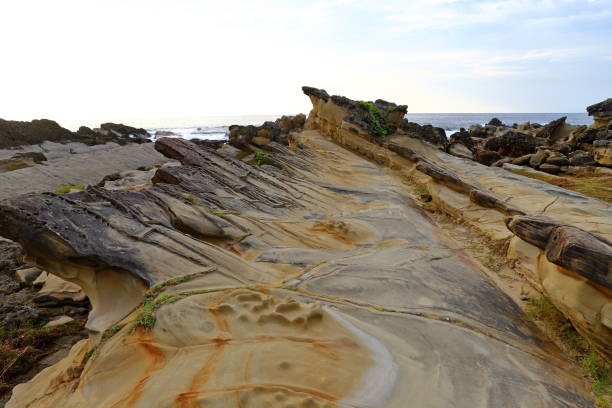 istock Xiaoyeliu scenic area located at Taitung, eastern Taiwan. 1317384241