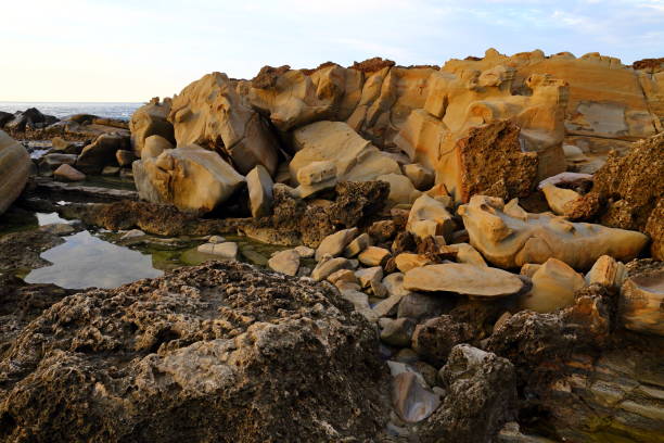 istock Xiaoyeliu scenic area located at Taitung, eastern Taiwan. 1317384281
