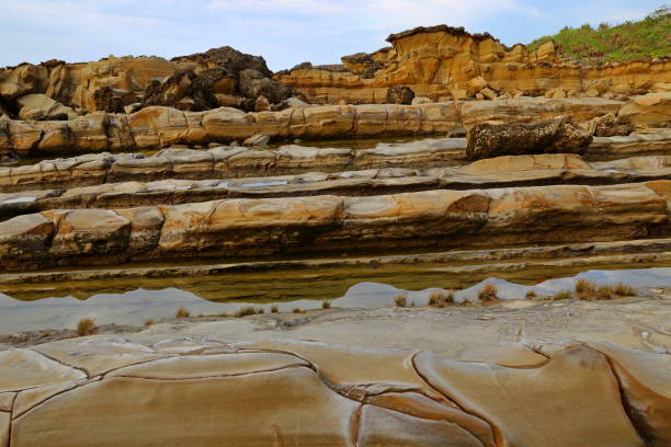 istock Xiaoyeliu scenic area located at Taitung, eastern Taiwan. 1317384314