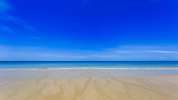 istock Beautiful nature ocean 1317387895