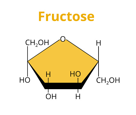 2D vector molecular structure of the dietary monosaccharide fructose or fruit sugar – ketonic simple sugar. The structural formula of d-Fructose, β-d-fructofuranose is isolated on a white background.