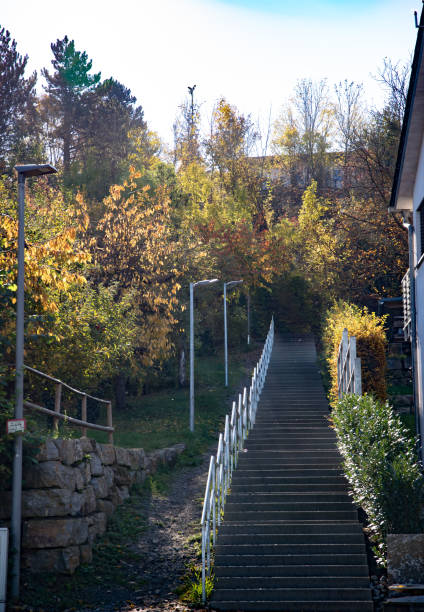 istock large staircase from below with galvanized iron railings and lamp posts 1317390031