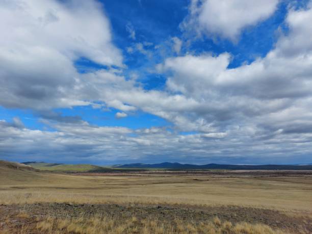 istock Spring valley view and mountains on horizon under Blue Sky and white fluffy clouds 1317390740