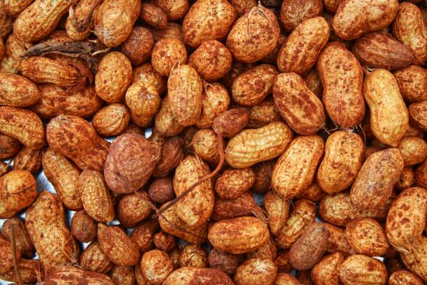 erdnüsse hintergrund, lebensmittel hintergrund - peanut legume textured effect fat stock-fotos und bilder