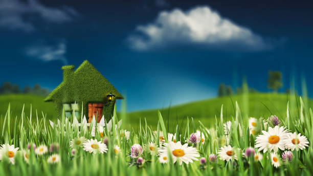 istock Springtime. Seasonal rural backgrounds 1317394434