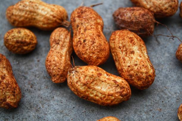 erdnüsse auf grauem hintergrund, essen hintergrund - peanut legume textured effect fat stock-fotos und bilder