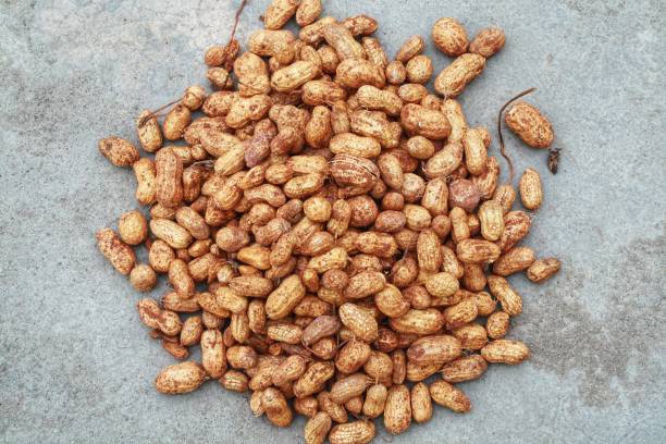 orzeszki ziemne na szarym tle, tło żywności - peanut legume textured effect fat zdjęcia i obrazy z banku zdjęć