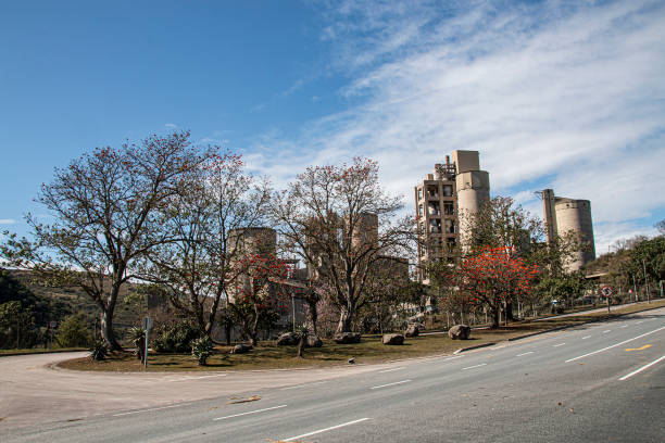 istock Pretty Trees Growing in Front of Cement Factory 1317395593