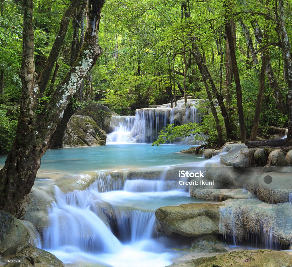 Erawan cascade à Kanchanaburi, Thaïlande - Photo de Arbre libre de droits