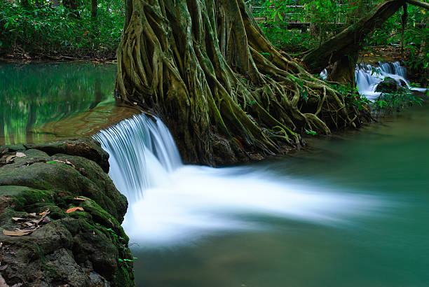 wasserfall im tiefen wald von krabi, thailand - erawan beauty in nature waterfall clean stock-fotos und bilder