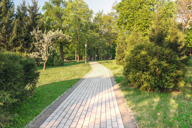 istock Beautiful walking path in the spring park Feofaniya, Kiev. 1317396107