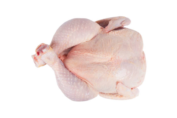 Fresh raw chicken isolated on white background with clipping path.  Top view. Whole fresh chicken isolated.