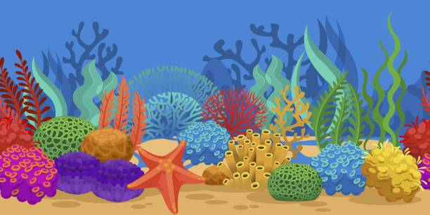 ilustraciones, imágenes clip art, dibujos animados e iconos de stock de borde sin costuras de coral. algas de arrecifes oceánicos, fondo marino del oceanario. esponja marina estrella de mar en el vector de fondo de arena textura submarina horizontal, paisaje marino - esponja de mar