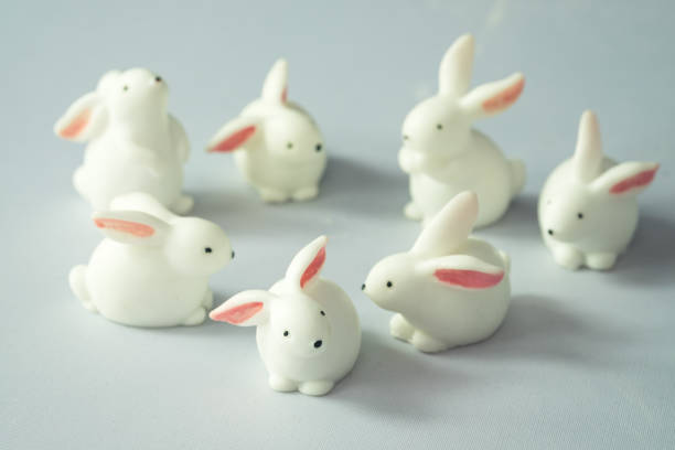 istock Miniature white seven rabbit toy pose many action in circle row on white background 1317402497
