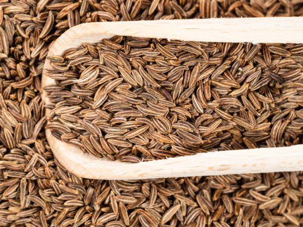 top-ansicht von holz schaufel auf caraway früchte nahaufnahme - caraway seed stock-fotos und bilder