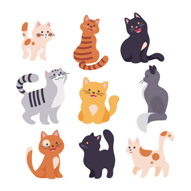 illustrazioni stock, clip art, cartoni animati e icone di tendenza di collezione di simpatici personaggi di gatti divertenti seduti, in piedi, che camminano sorridenti isolati su sfondo bianco. - miagolare