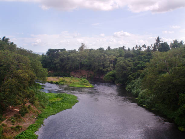 Calm fresh water river during summer. High angle shot.