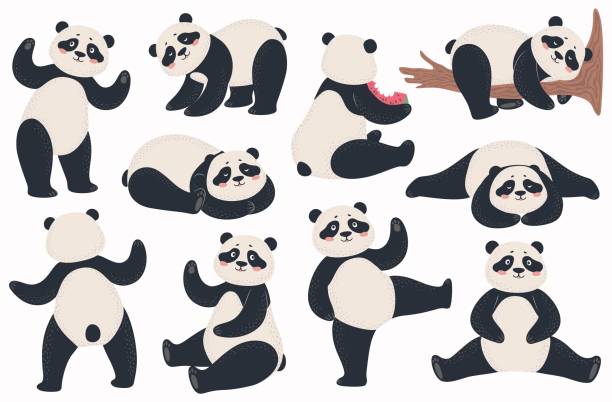 150 Sitting Chinese Panda Bear Animal Cartoon Character Vector Illustration  Illustrations & Clip Art - iStock