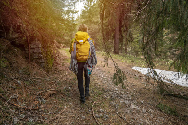 istock Young woman hiking and passing below pine tree 1317411308