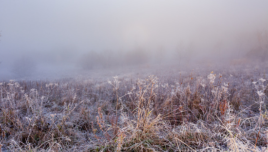 Field in the fog. Frozen grass on the field at cold winter morning. Grass covered with white frost. Beginning of winter. Frosty sunny morning. Ice on meadow. Ice crystal on a meadow.