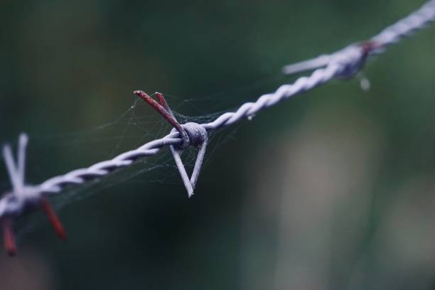 istock old metallic barbed wire fence 1317415484