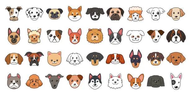 Vector illustration of Different type of vector cartoon dog faces