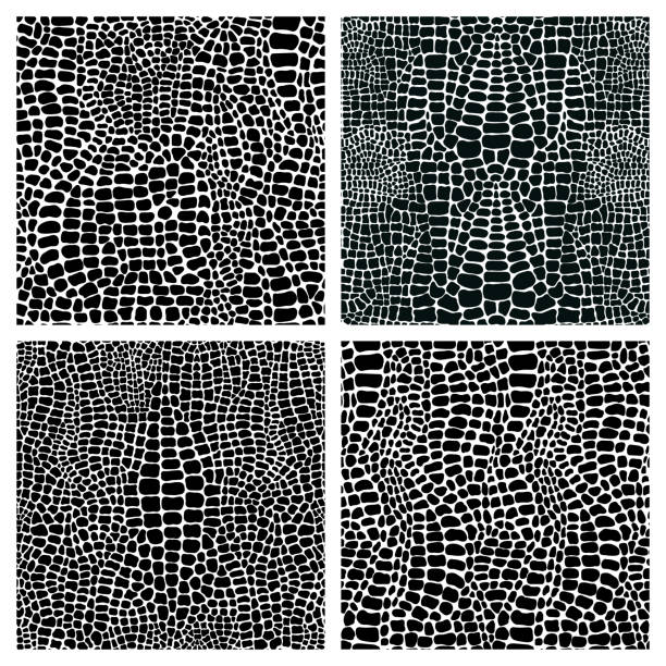istock Vector set of four seamless patterns with crocodile or alligator skin. Monochrome leather wallpapers. Black and white animal backgrounds. Collection of print camouflage illustrations. 1317418515