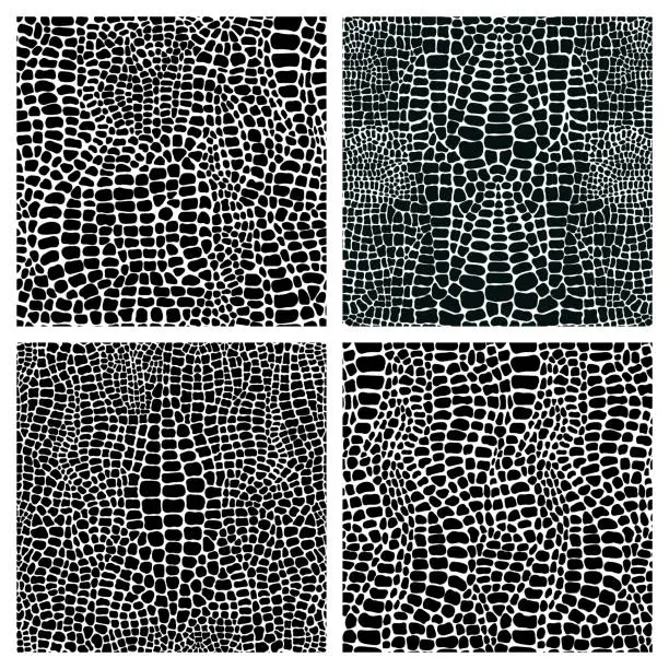 Vector illustration of Vector set of four seamless patterns with crocodile or alligator skin. Monochrome leather wallpapers. Black and white animal backgrounds. Collection of print camouflage illustrations.