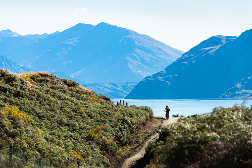 Tourist riding the bike on Glendhu Bay track along Lake Wanaka with mountains in the distance, South Island