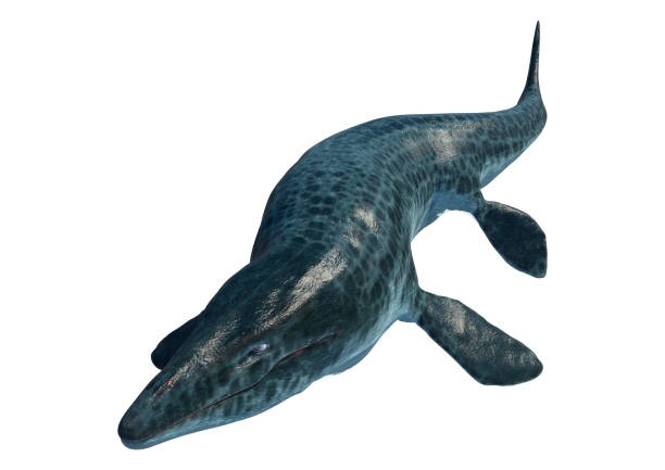 istock 3D illustration extinct reptile Mosasaur on white 1317419857